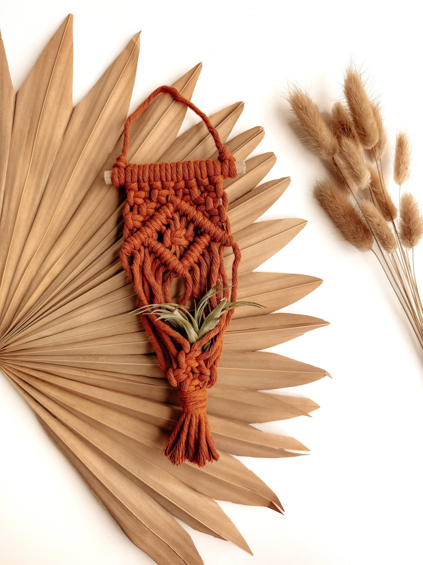 Air Plant Hanger | Macrame Planter Holder | Boho Home Decor: Honey