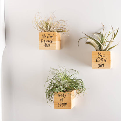 You Grow Planter Magnet Set