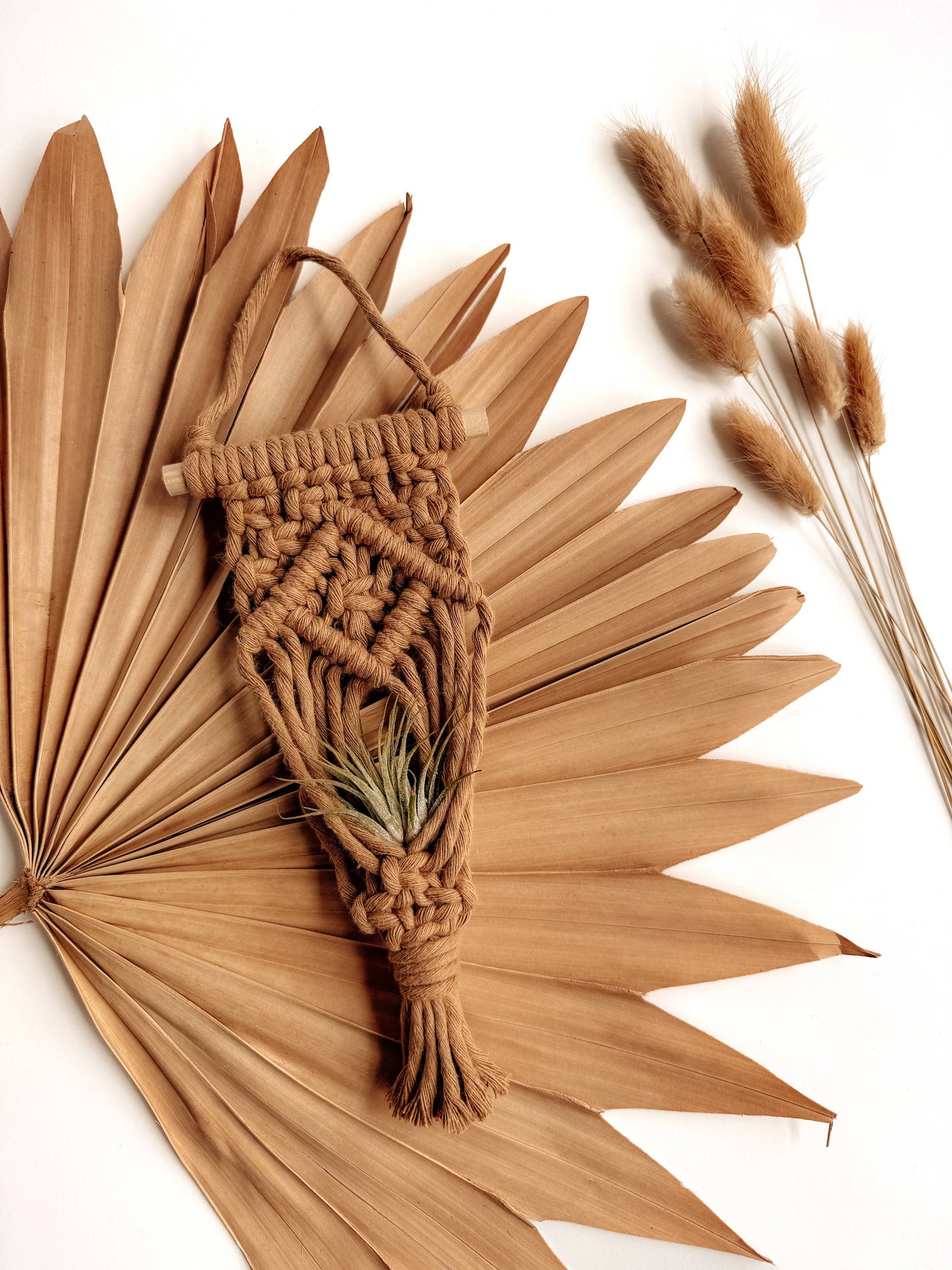Air Plant Hanger | Macrame Planter Holder | Boho Home Decor: Cream