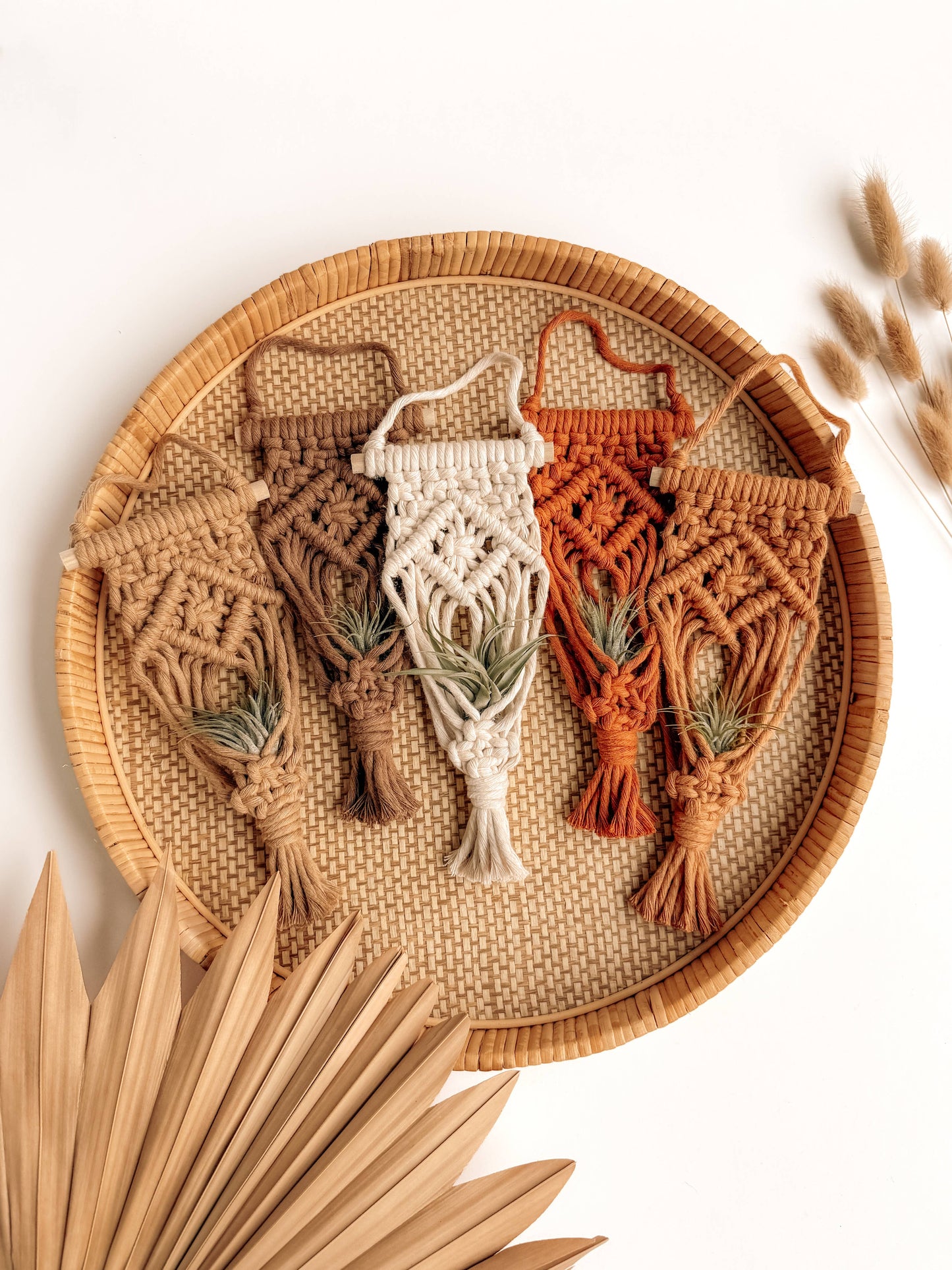 Air Plant Hanger | Macrame Planter Holder | Boho Home Decor: Burnt Orange