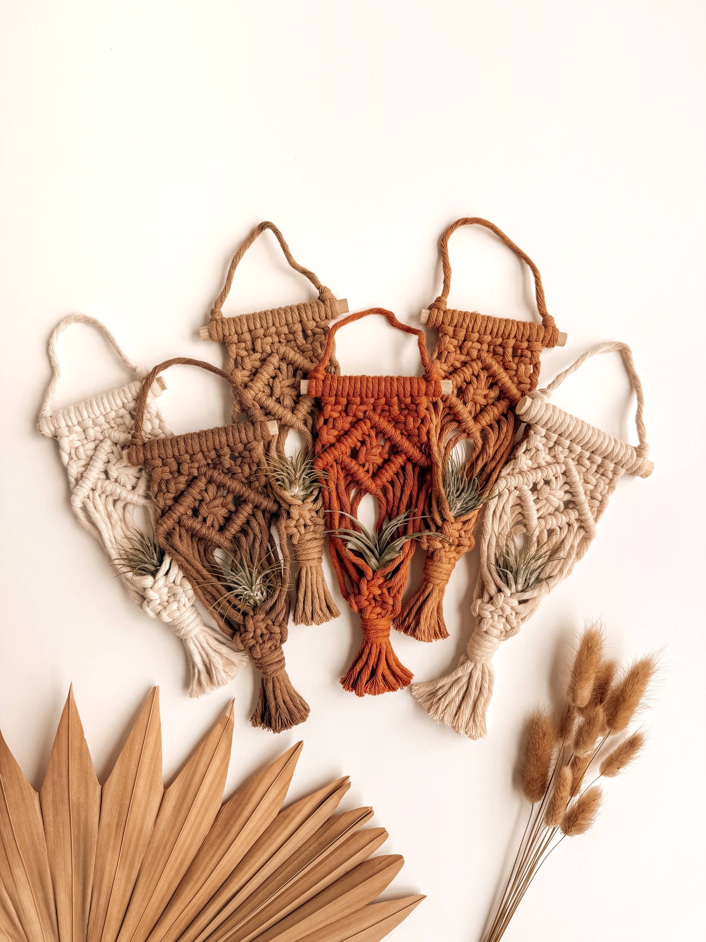 Air Plant Hanger | Macrame Planter Holder | Boho Home Decor: Burnt Orange