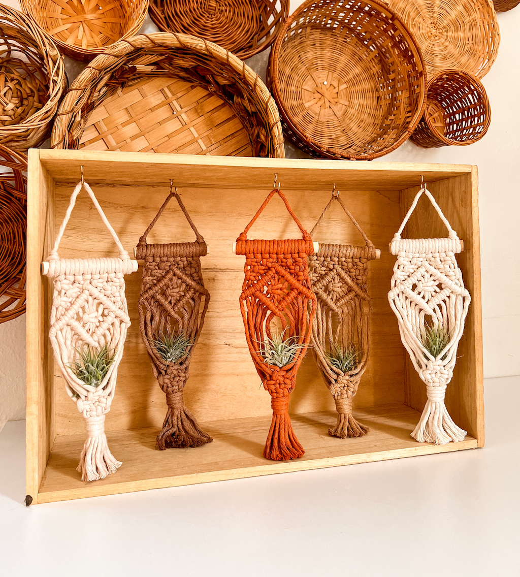 Air Plant Hanger | Macrame Planter Holder | Boho Home Decor: Cream