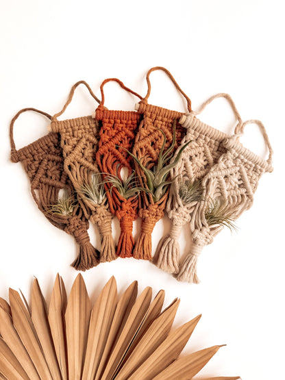 Air Plant Hanger | Macrame Planter Holder | Boho Home Decor: Honey
