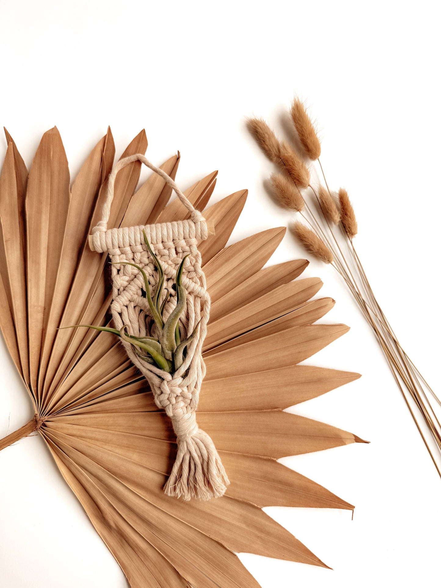 Air Plant Hanger | Macrame Planter Holder | Boho Home Decor: Burnt Orange