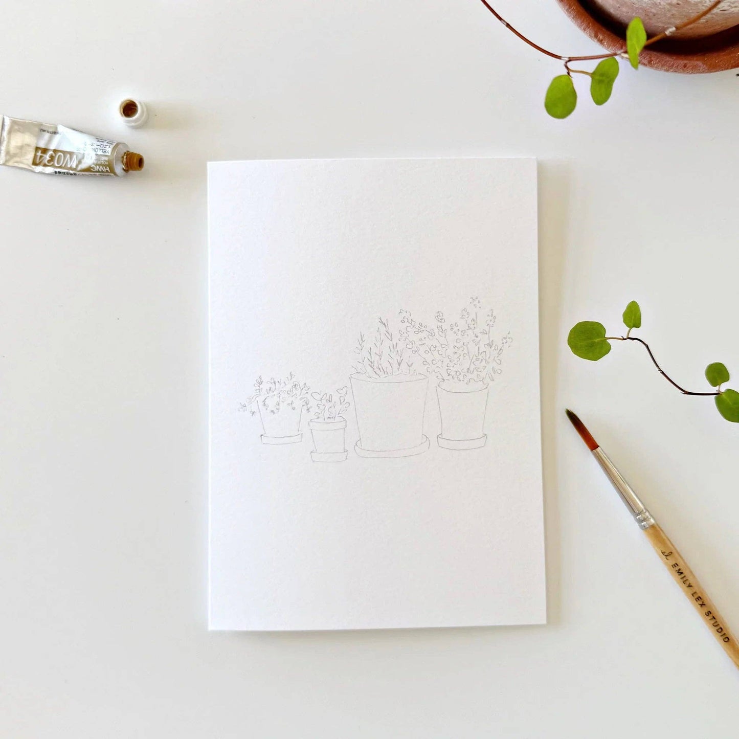 Potted plants paintable watercolor notecard set
