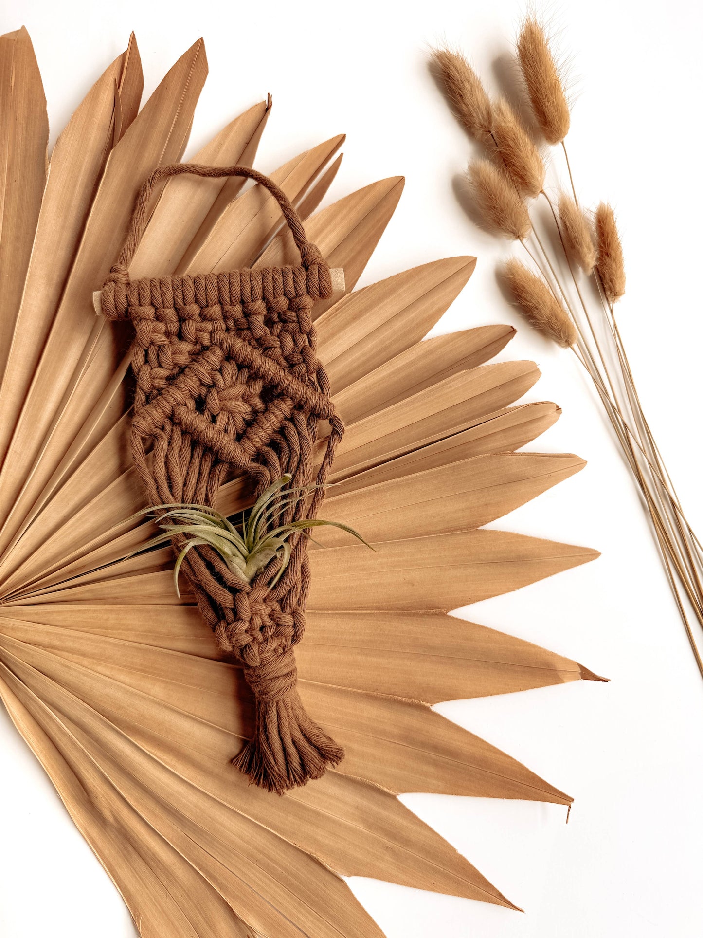 Air Plant Hanger | Macrame Planter Holder | Boho Home Decor: Cream