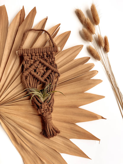 Air Plant Hanger | Macrame Planter Holder | Boho Home Decor: Honey