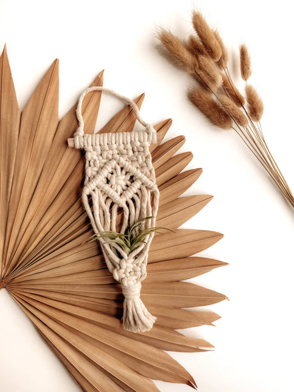 Air Plant Hanger | Macrame Planter Holder | Boho Home Decor: Latte