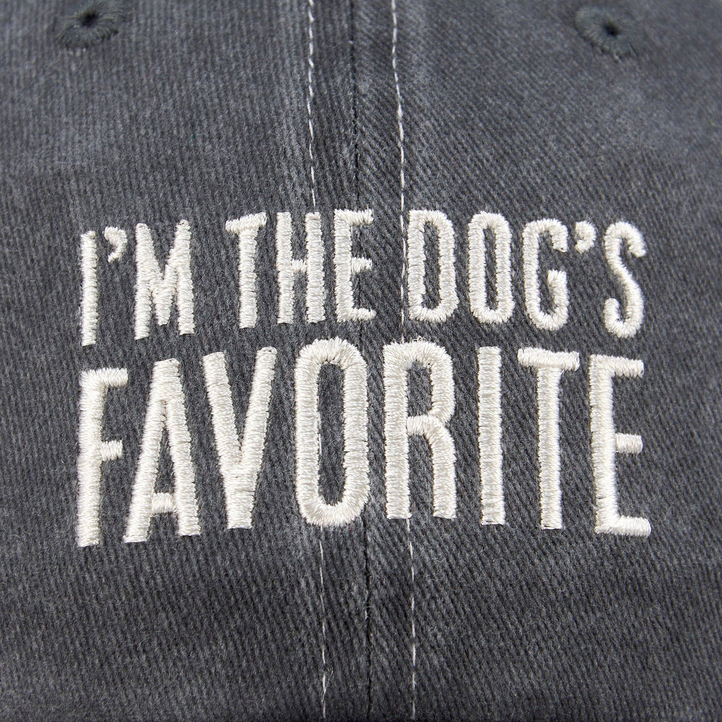 The Dog's Favorite Baseball Cap